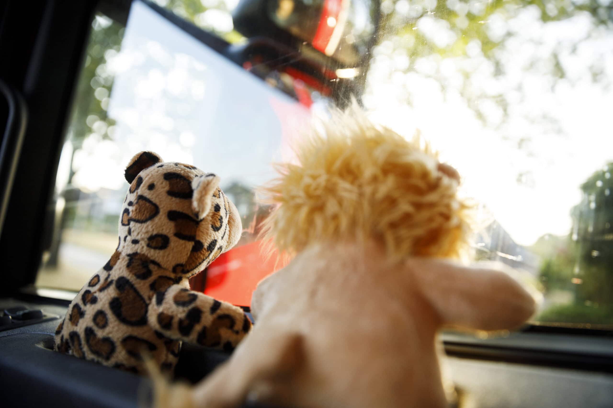 In de cabine bij vrachtwagenchauffeur Marcel - Werken bij Tielbeke